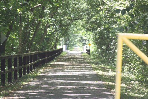 C&O Canal Stroll