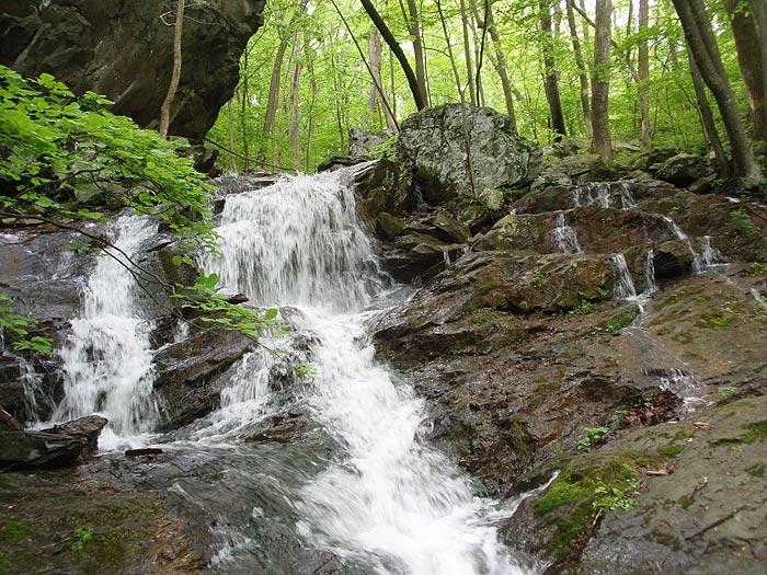 Hollow Brook Hike