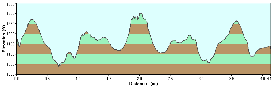 Hollow Brook Profile