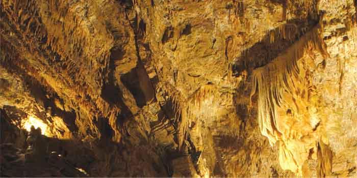Horse and Cavern Tour 2