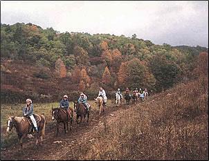 Horseback Riding