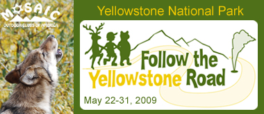 Follow the Yellowstone Road