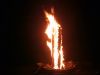 Filename=Copyrighted_Image_Reuse_Prohibited_589990.jpg
Filesize=58KB
Dimensions=800x600
Date added=Sep 26, 2007 Copyrighted_Image_Reuse_Prohibited_589990.jpg