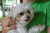 Filename=Copyrighted_Image_Reuse_Prohibited_590009.jpg
Filesize=171KB
Dimensions=800x532
Date added=Sep 26, 2007 Copyrighted_Image_Reuse_Prohibited_590009.jpg