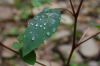 Filename=Copyrighted_Image_Reuse_Prohibited_590010.jpg
Filesize=149KB
Dimensions=800x532
Date added=Oct 01, 2007 Copyrighted_Image_Reuse_Prohibited_590010.jpg