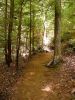 Filename=Copyrighted_Image_Reuse_Prohibited_590044.jpg
Filesize=246KB
Dimensions=600x800
Date added=Oct 01, 2007 Copyrighted_Image_Reuse_Prohibited_590044.jpg