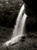 Filename=Copyrighted_Image_Reuse_Prohibited_590054.jpg
Filesize=135KB
Dimensions=600x800
Date added=Oct 01, 2007 Copyrighted_Image_Reuse_Prohibited_590054.jpg