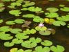 Filename=Copyrighted_Image_Reuse_Prohibited_590055.jpg
Filesize=127KB
Dimensions=800x600
Date added=Sep 26, 2007 Copyrighted_Image_Reuse_Prohibited_590055.jpg
