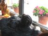 Filename=Copyrighted_Image_Reuse_Prohibited_590056.jpg
Filesize=53KB
Dimensions=360x270
Date added=Sep 26, 2007 Copyrighted_Image_Reuse_Prohibited_590056.jpg
