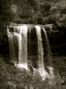 Filename=Copyrighted_Image_Reuse_Prohibited_590058.jpg
Filesize=156KB
Dimensions=600x800
Date added=Oct 01, 2007 Copyrighted_Image_Reuse_Prohibited_590058.jpg