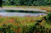 Filename=Copyrighted_Image_Reuse_Prohibited_724716.jpg
Filesize=104KB
Dimensions=567x369
Date added=Sep 30, 2008 Copyrighted_Image_Reuse_Prohibited_724716.jpg