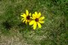 Filename=Copyrighted_Image_Reuse_Prohibited_724725.jpg
Filesize=289KB
Dimensions=800x533
Date added=Sep 30, 2008 Copyrighted_Image_Reuse_Prohibited_724725.jpg