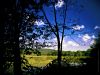Filename=Copyrighted_Image_Reuse_Prohibited_724762.jpg
Filesize=211KB
Dimensions=800x600
Date added=Oct 09, 2008 Copyrighted_Image_Reuse_Prohibited_724762.jpg