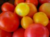 Filename=DG_Tomatoes.jpg
Filesize=143KB
Dimensions=800x600
Date added=Oct 15, 2009 DG_Tomatoes.jpg