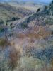 Filename=DS_Forging_our_own_trails_on_the_difficult_hike.jpg
Filesize=179KB
Dimensions=480x640
Date added=Oct 15, 2009 DS_Forging_our_own_trails_on_the_difficult_hike.jpg