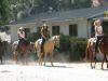 GL_Action_Horseback_Ride.jpg